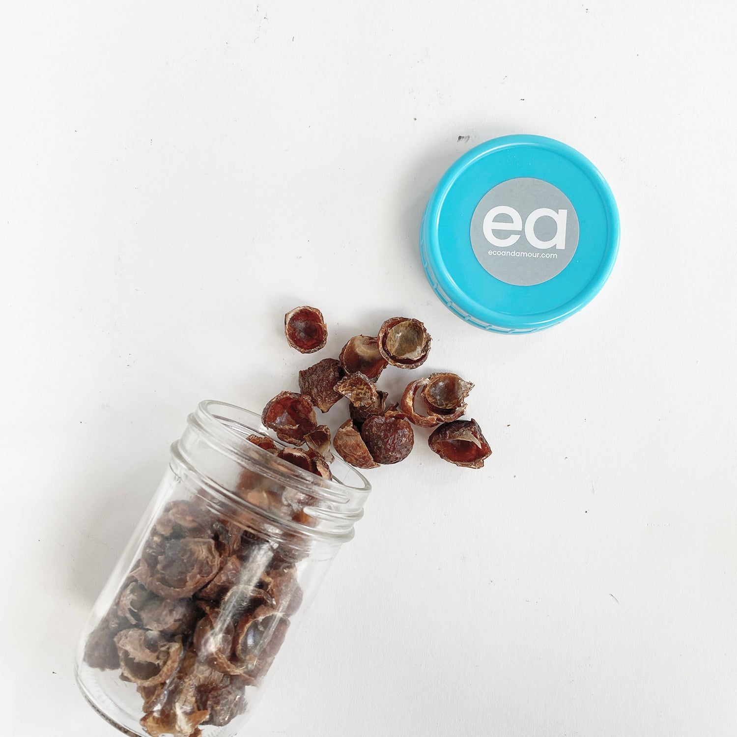 Soap Nuts | eco+amour